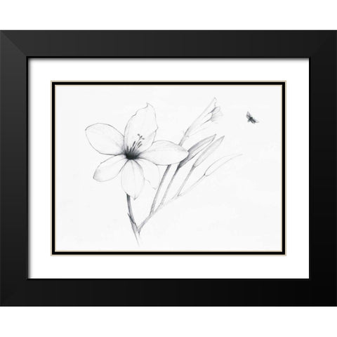 Graphite Floral II Black Modern Wood Framed Art Print with Double Matting by Tillmon, Avery