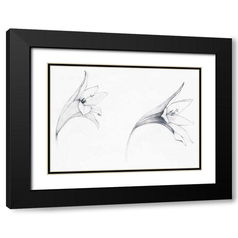 Graphite Floral VI Black Modern Wood Framed Art Print with Double Matting by Tillmon, Avery