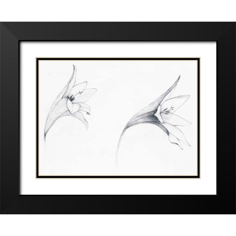 Graphite Floral VI Black Modern Wood Framed Art Print with Double Matting by Tillmon, Avery