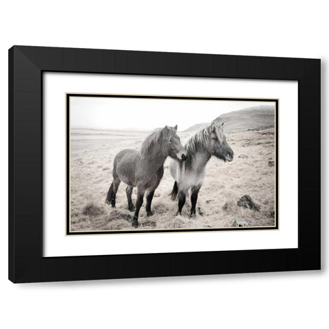 Bjarni and Imir I BW Black Modern Wood Framed Art Print with Double Matting by Marshall, Laura