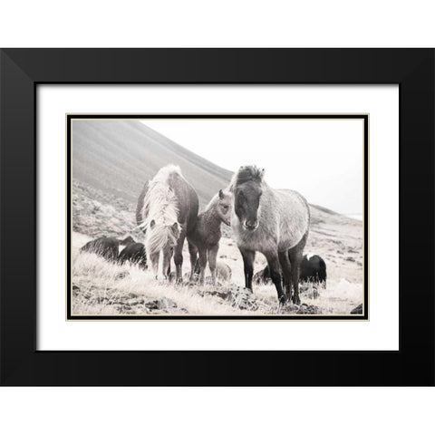 Horses of Hofn I BW Black Modern Wood Framed Art Print with Double Matting by Marshall, Laura