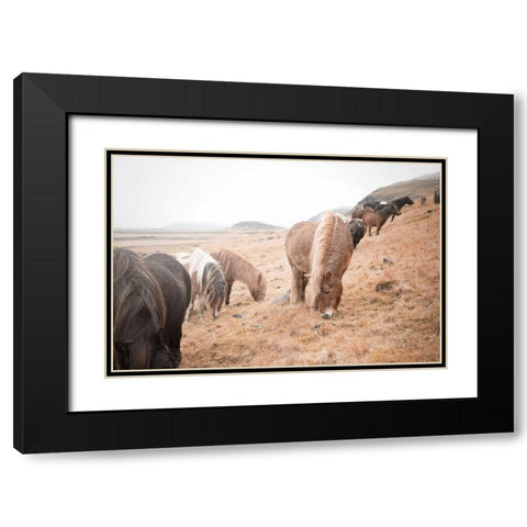 Horses of Hofn II Black Modern Wood Framed Art Print with Double Matting by Marshall, Laura