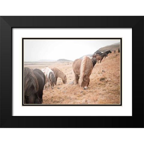 Horses of Hofn II Black Modern Wood Framed Art Print with Double Matting by Marshall, Laura