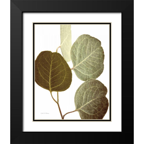 Eucalyptus Color on White Black Modern Wood Framed Art Print with Double Matting by Van Swearingen, Debra