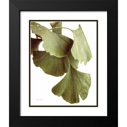Ginko Color on White Black Modern Wood Framed Art Print with Double Matting by Van Swearingen, Debra