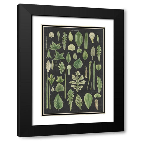 Assortment of Leaves II Charcoal Crop Black Modern Wood Framed Art Print with Double Matting by Wild Apple Portfolio
