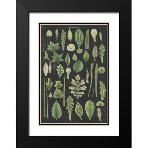 Assortment of Leaves II Charcoal Crop Black Modern Wood Framed Art Print with Double Matting by Wild Apple Portfolio