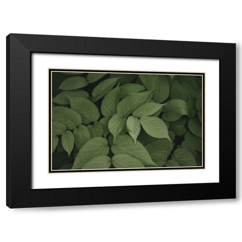 Leafy I Black Modern Wood Framed Art Print with Double Matting by Urquhart, Elizabeth