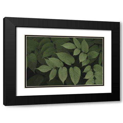 Leafy II Black Modern Wood Framed Art Print with Double Matting by Urquhart, Elizabeth