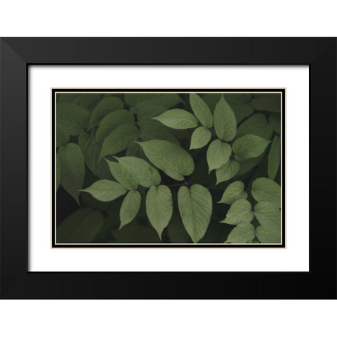 Leafy II Black Modern Wood Framed Art Print with Double Matting by Urquhart, Elizabeth