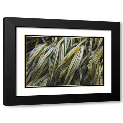 Leafy III Black Modern Wood Framed Art Print with Double Matting by Urquhart, Elizabeth