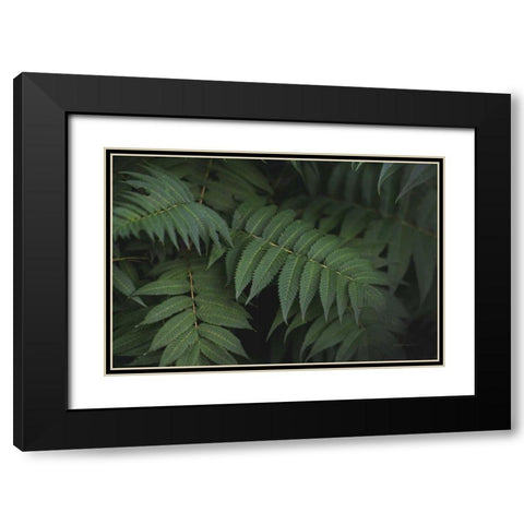 Leafy V Black Modern Wood Framed Art Print with Double Matting by Urquhart, Elizabeth