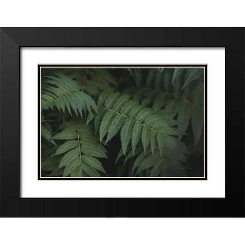 Leafy V Black Modern Wood Framed Art Print with Double Matting by Urquhart, Elizabeth