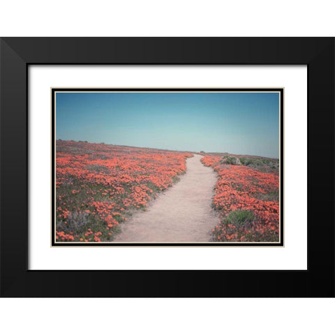 California Blooms IV Black Modern Wood Framed Art Print with Double Matting by Urquhart, Elizabeth