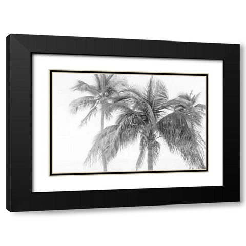 Breezy IV Black Modern Wood Framed Art Print with Double Matting by Urquhart, Elizabeth