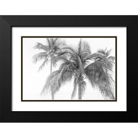 Breezy IV Black Modern Wood Framed Art Print with Double Matting by Urquhart, Elizabeth