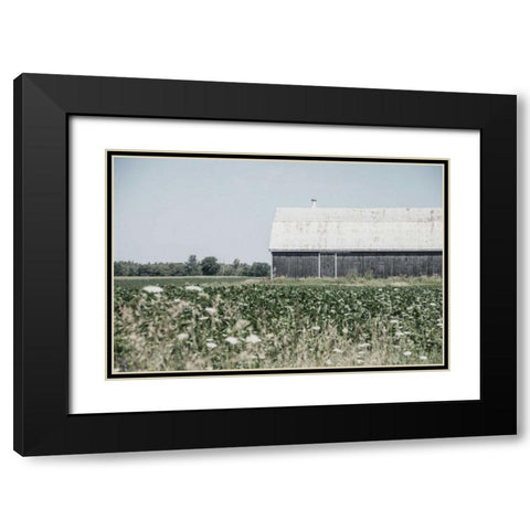 Weathered I Black Modern Wood Framed Art Print with Double Matting by Urquhart, Elizabeth