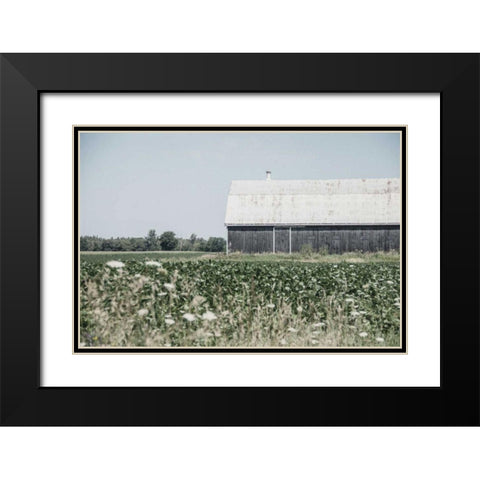 Weathered I Black Modern Wood Framed Art Print with Double Matting by Urquhart, Elizabeth