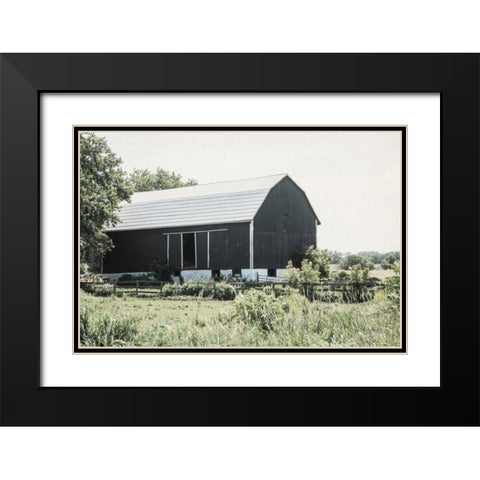Weathered II Black Modern Wood Framed Art Print with Double Matting by Urquhart, Elizabeth