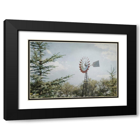 Sun Drenched I Black Modern Wood Framed Art Print with Double Matting by Urquhart, Elizabeth