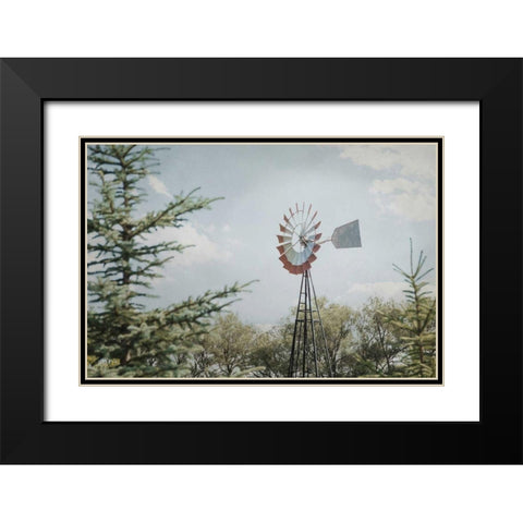 Sun Drenched I Black Modern Wood Framed Art Print with Double Matting by Urquhart, Elizabeth