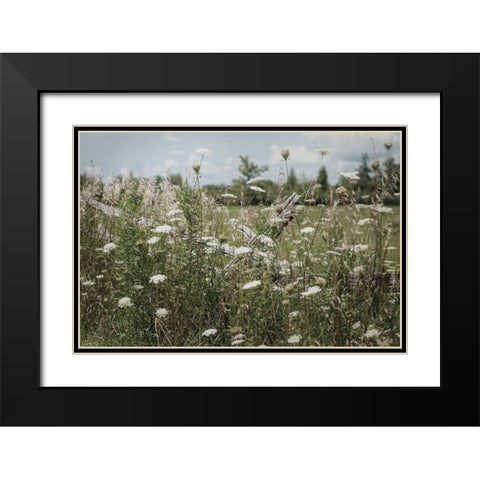 Sun Drenched III Black Modern Wood Framed Art Print with Double Matting by Urquhart, Elizabeth