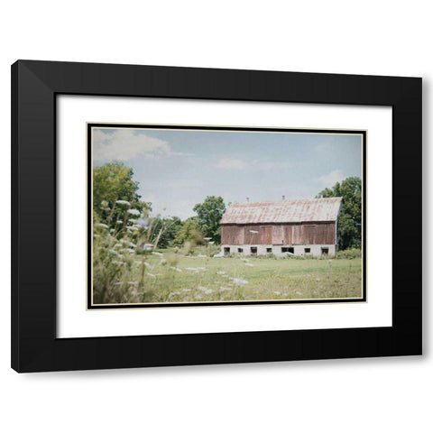 Sun Drenched IV Black Modern Wood Framed Art Print with Double Matting by Urquhart, Elizabeth