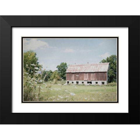 Sun Drenched IV Black Modern Wood Framed Art Print with Double Matting by Urquhart, Elizabeth