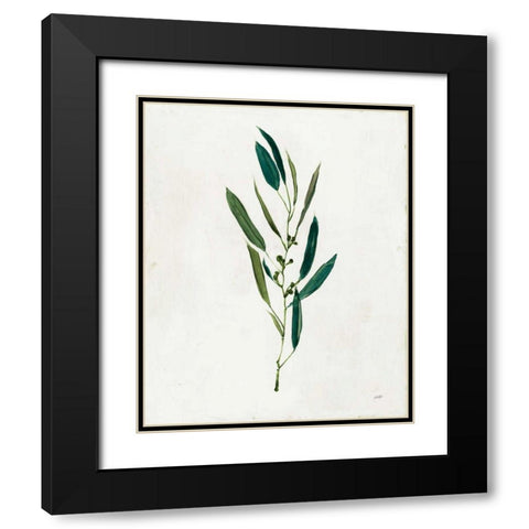 Botanical Study I Greenery Black Modern Wood Framed Art Print with Double Matting by Purinton, Julia