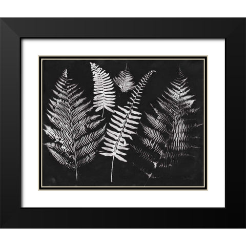 Nature by the Lake Ferns I Black Crop Black Modern Wood Framed Art Print with Double Matting by Rhue, Piper