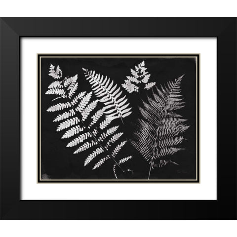 Nature by the Lake Ferns II Black Crop Black Modern Wood Framed Art Print with Double Matting by Rhue, Piper