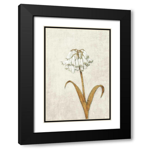 Shimmering Summer II Ivory Black Modern Wood Framed Art Print with Double Matting by Wiens, James