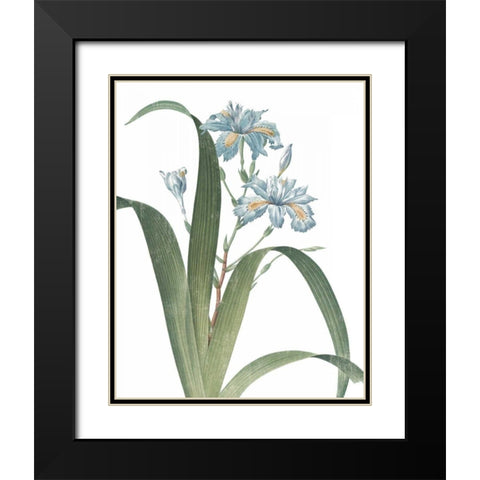 Summer Botanicals III on White Black Modern Wood Framed Art Print with Double Matting by Wild Apple Portfolio