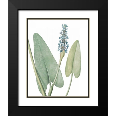 Summer Botanicals IV on White Black Modern Wood Framed Art Print with Double Matting by Wild Apple Portfolio