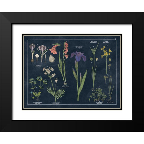 Botanical Floral Chart II Dark Blue Black Modern Wood Framed Art Print with Double Matting by Wild Apple Portfolio
