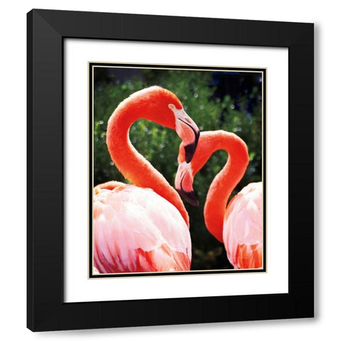 Flamingo II Black Modern Wood Framed Art Print with Double Matting by Van Swearingen, Debra