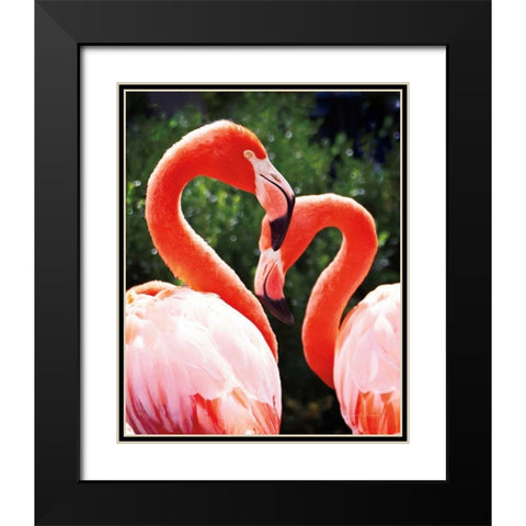 Flamingo II Black Modern Wood Framed Art Print with Double Matting by Van Swearingen, Debra
