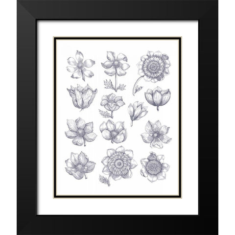 Anemone Plate I Blue Black Modern Wood Framed Art Print with Double Matting by Wild Apple Portfolio