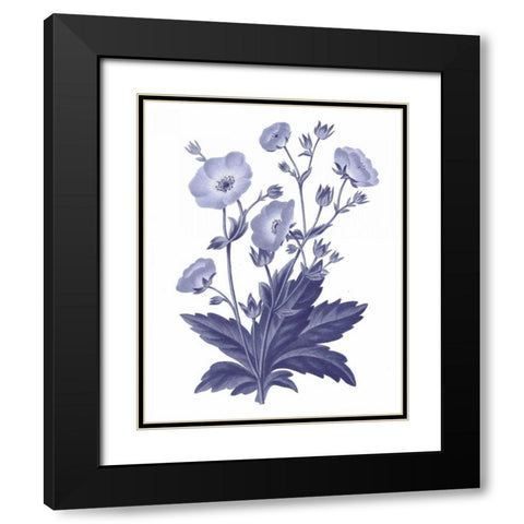Dark Blue Botanical VI Black Modern Wood Framed Art Print with Double Matting by Wild Apple Portfolio