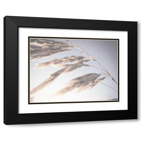 Windy Wheat Fields II Light Black Modern Wood Framed Art Print with Double Matting by Marshall, Laura