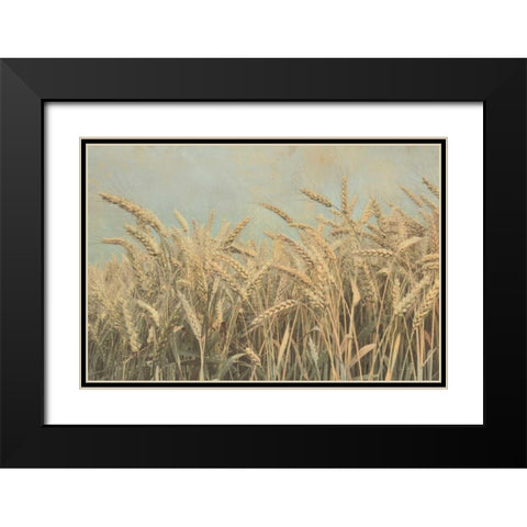 Gold Harvest Black Modern Wood Framed Art Print with Double Matting by Richard, Ben