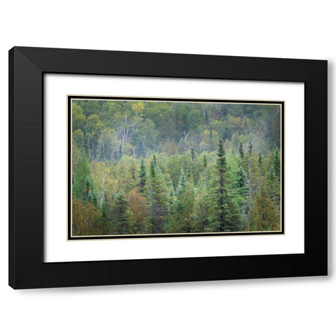 Superior National Forest II Black Modern Wood Framed Art Print with Double Matting by Majchrowicz, Alan