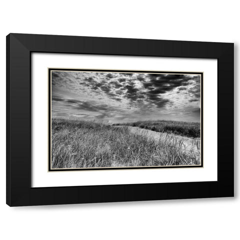 Nantucket Dunes Black Modern Wood Framed Art Print with Double Matting by Aledanda