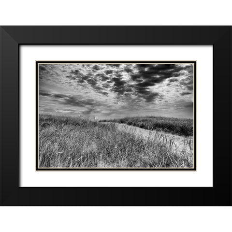 Nantucket Dunes Black Modern Wood Framed Art Print with Double Matting by Aledanda