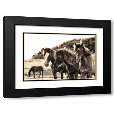 Horses Three Sepia Black Modern Wood Framed Art Print with Double Matting by Aledanda