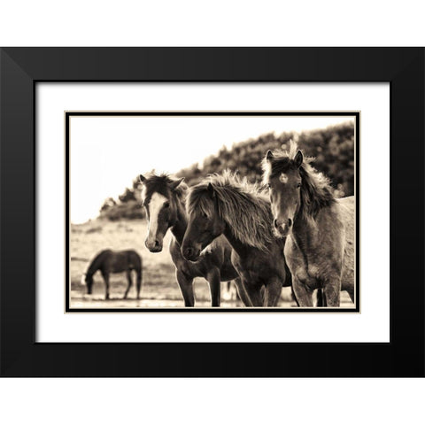 Horses Three Sepia Black Modern Wood Framed Art Print with Double Matting by Aledanda