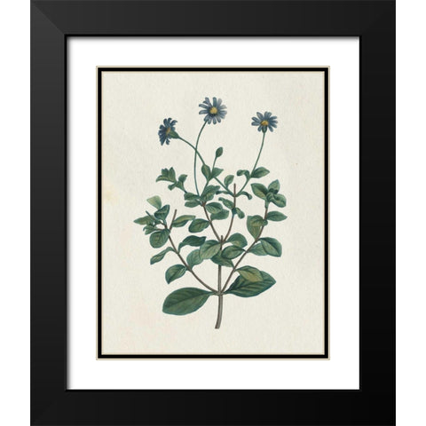 Victorian Garden Flowers IV Black Modern Wood Framed Art Print with Double Matting by Wild Apple Portfolio