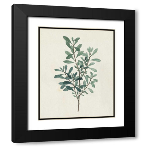 Victorian Garden Greenery I Black Modern Wood Framed Art Print with Double Matting by Wild Apple Portfolio