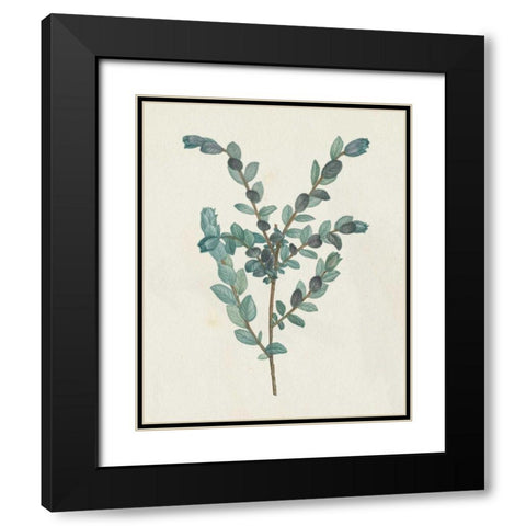 Victorian Garden Greenery II Black Modern Wood Framed Art Print with Double Matting by Wild Apple Portfolio