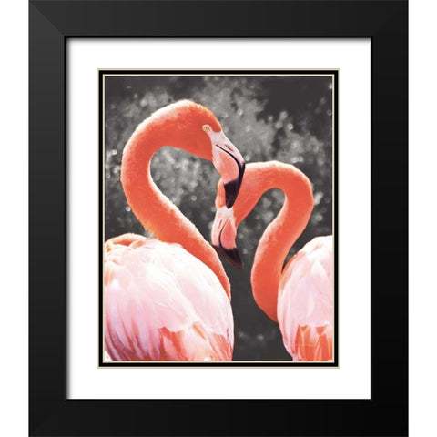 Flamingo II on BW Black Modern Wood Framed Art Print with Double Matting by Van Swearingen, Debra
